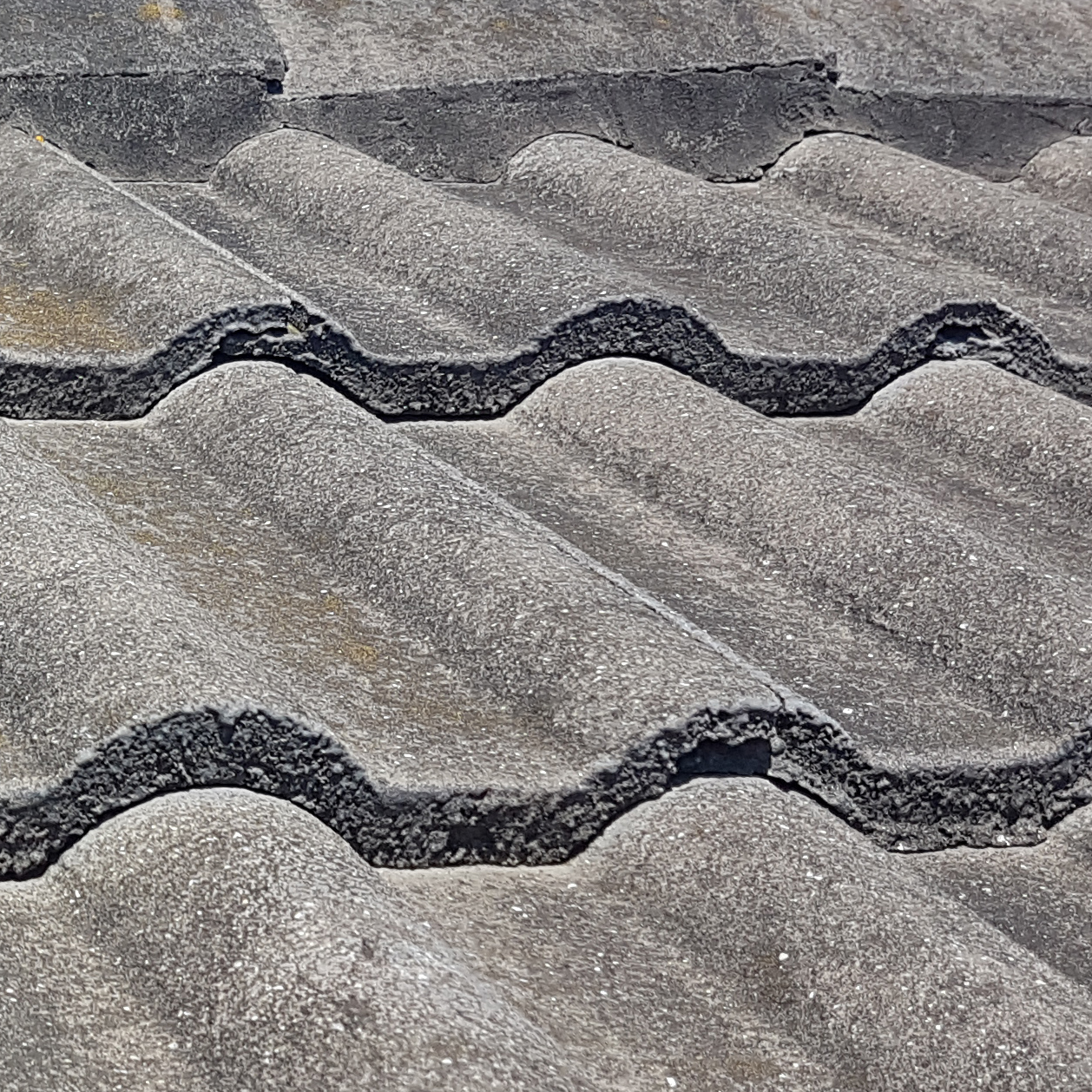 Roof Cleaning - Moss, Algae and Lichens on Monier tile roof