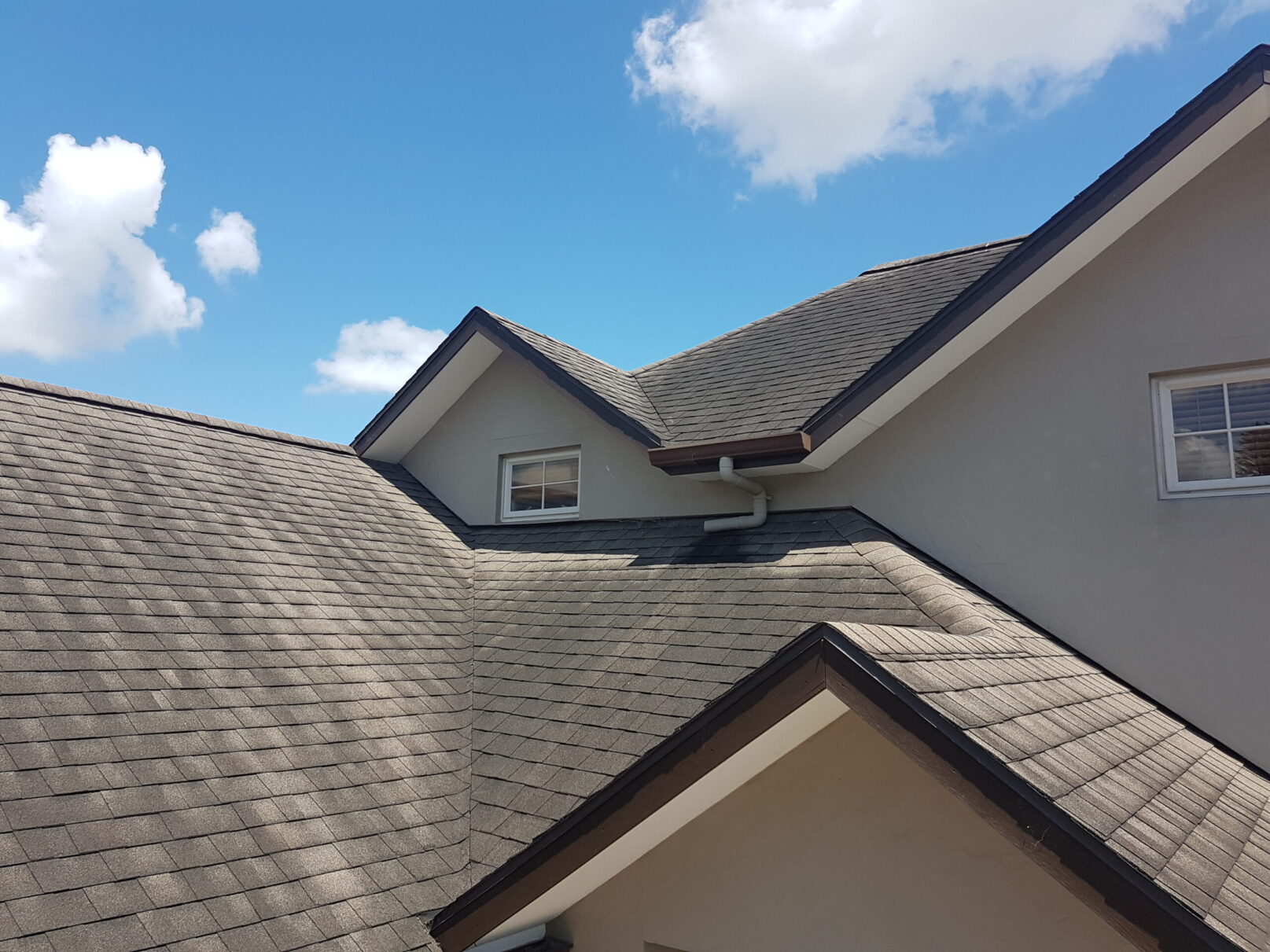 Roof Cleaning - Moss and Algae on Asphalt Shingle Roof