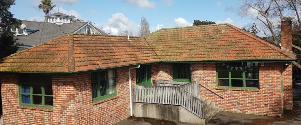 Roof Cleaning - Moss, Algae and Lichen on Clay Tile Roof