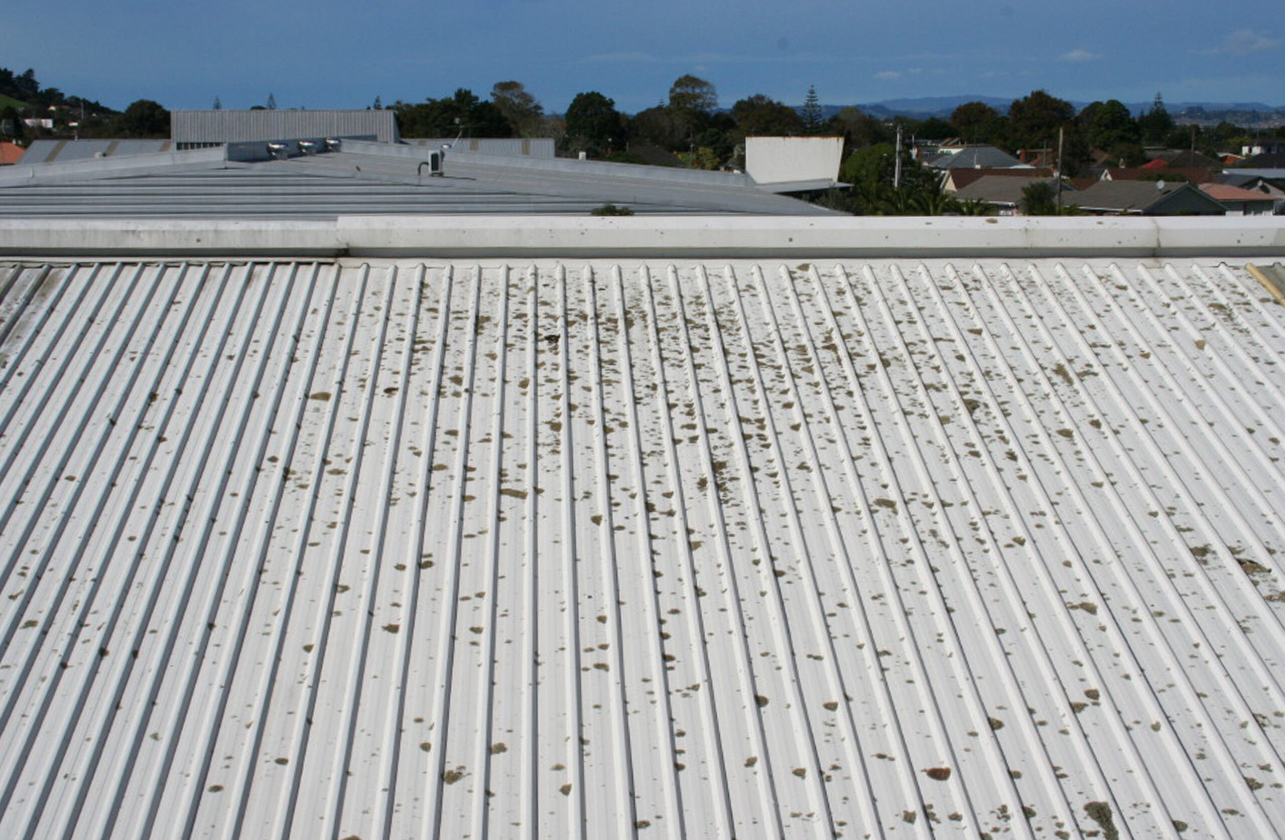 Roof Cleaning - Moss, Algae and Lichens on Industrial Colorsteel roof