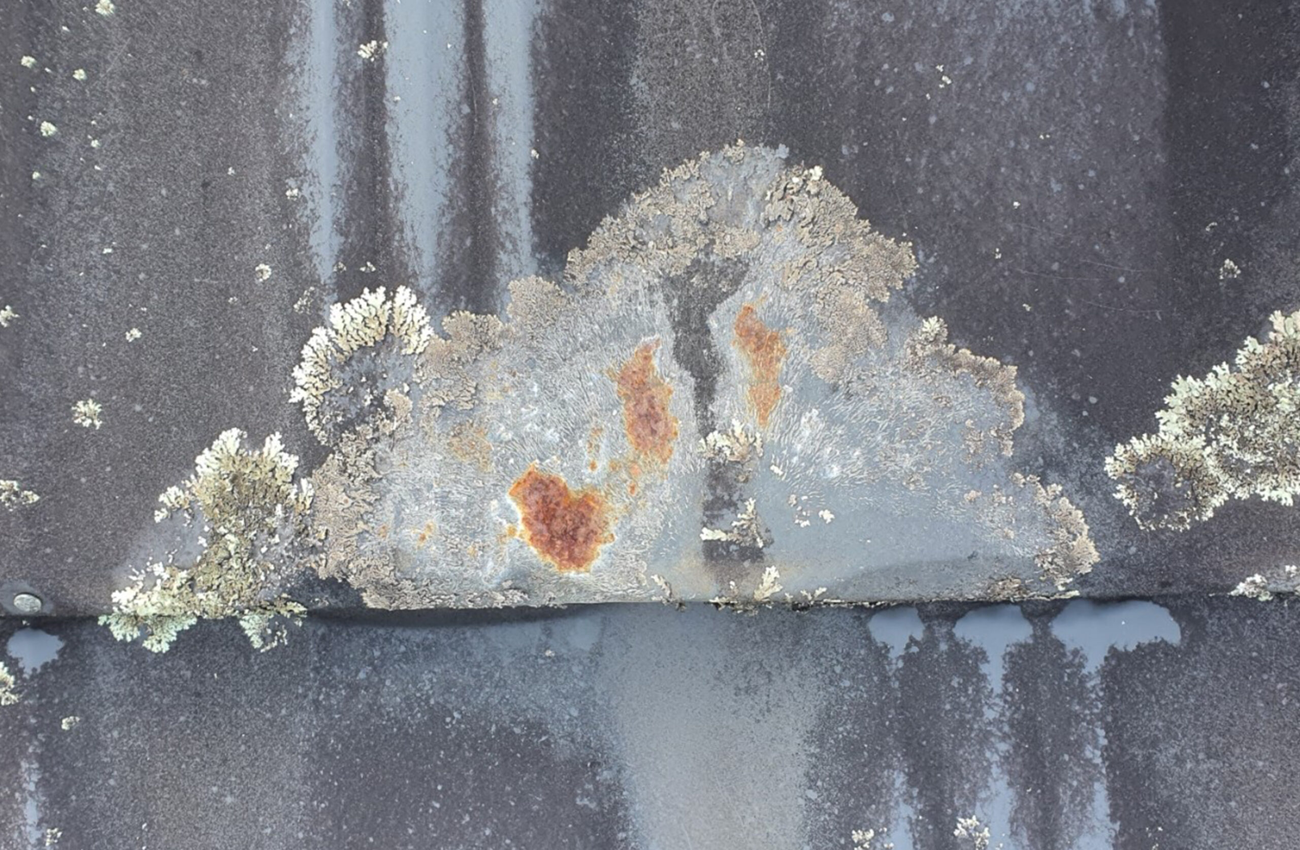 Roof Cleaning - Lichen and Rust damage on Colorsteel roof.