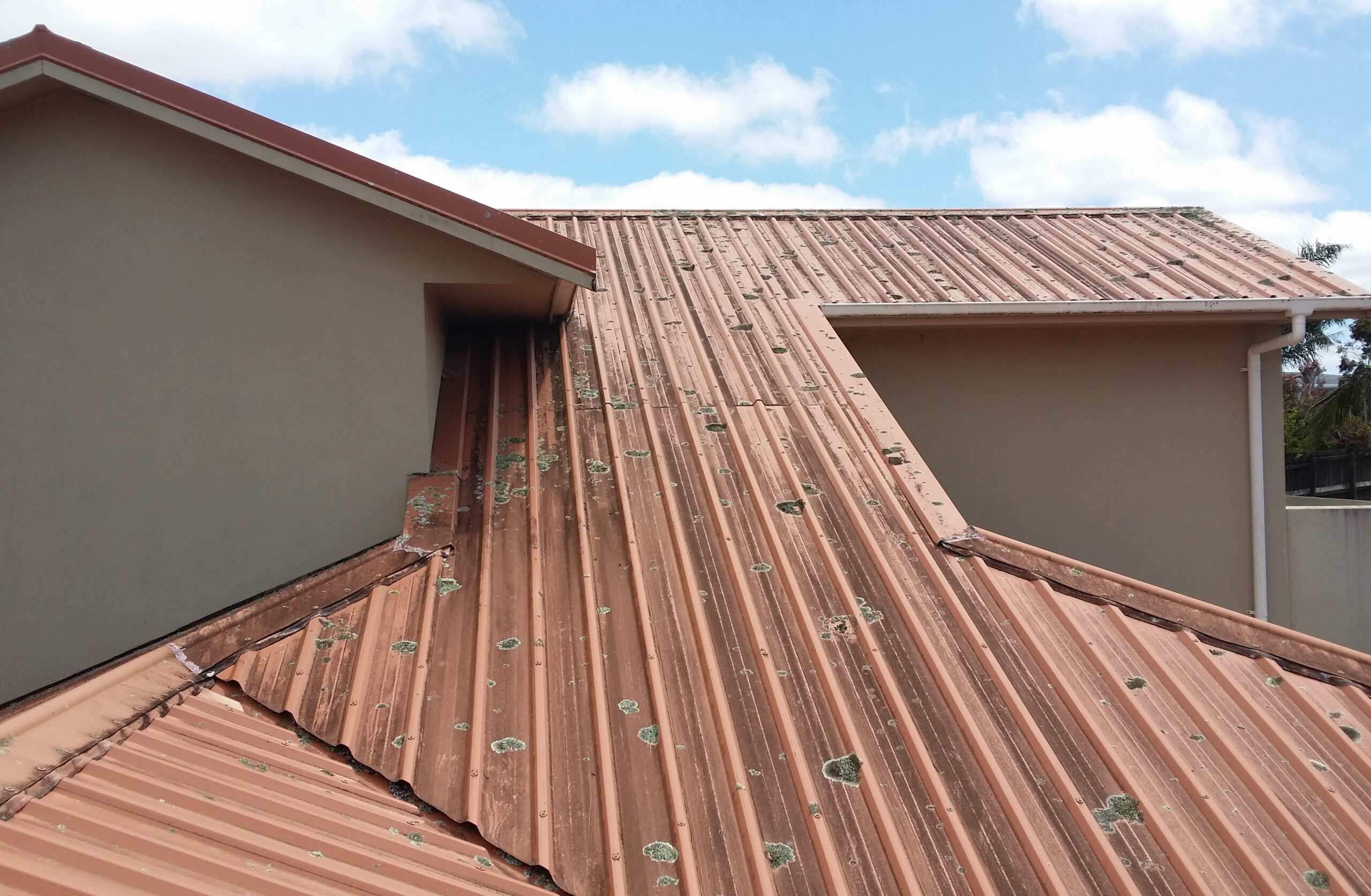 Roof Cleaning - Algae and Lichens on Coloursteel roof